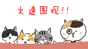 火速围观.gif